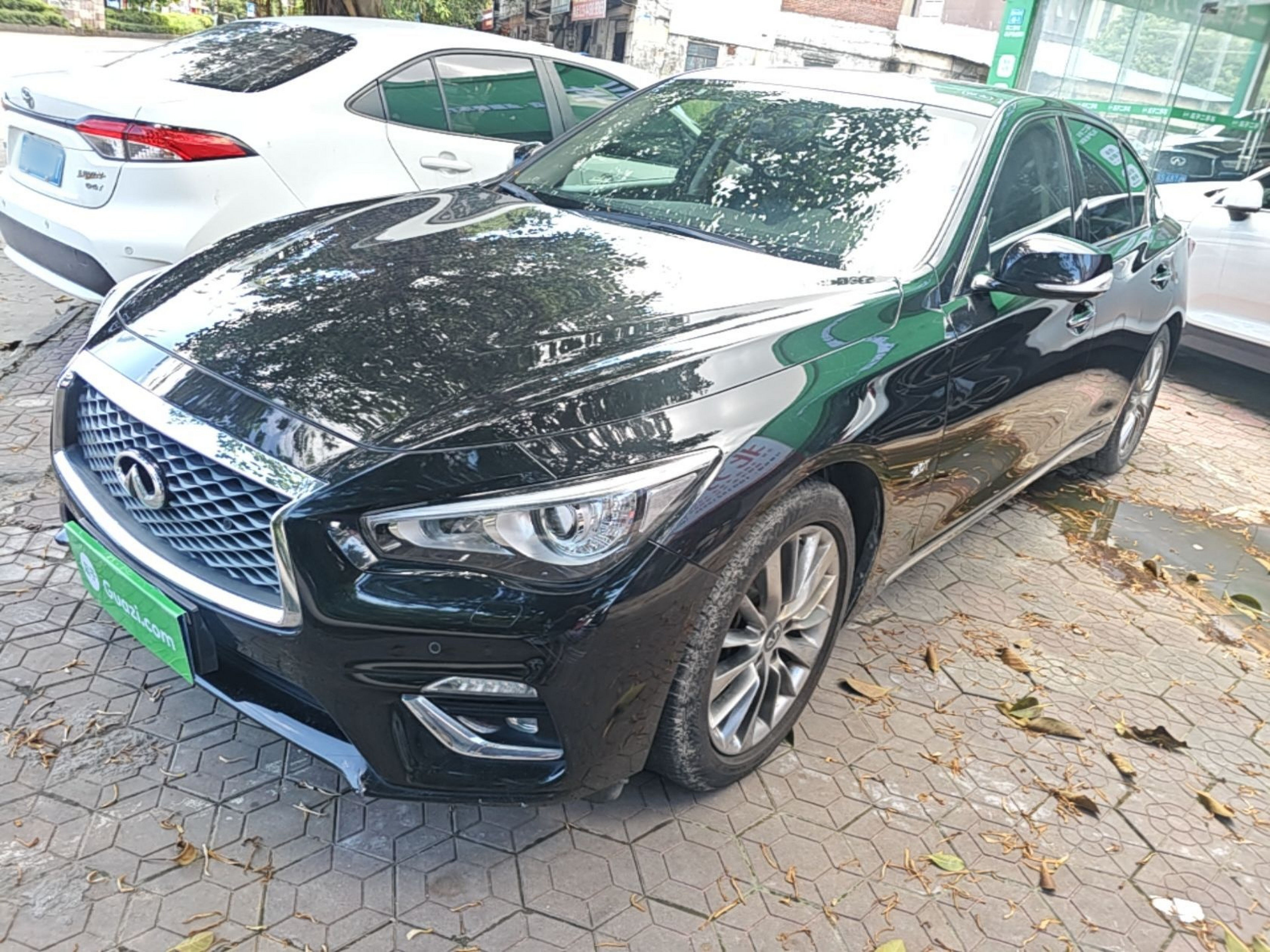 Parte inferior delantera