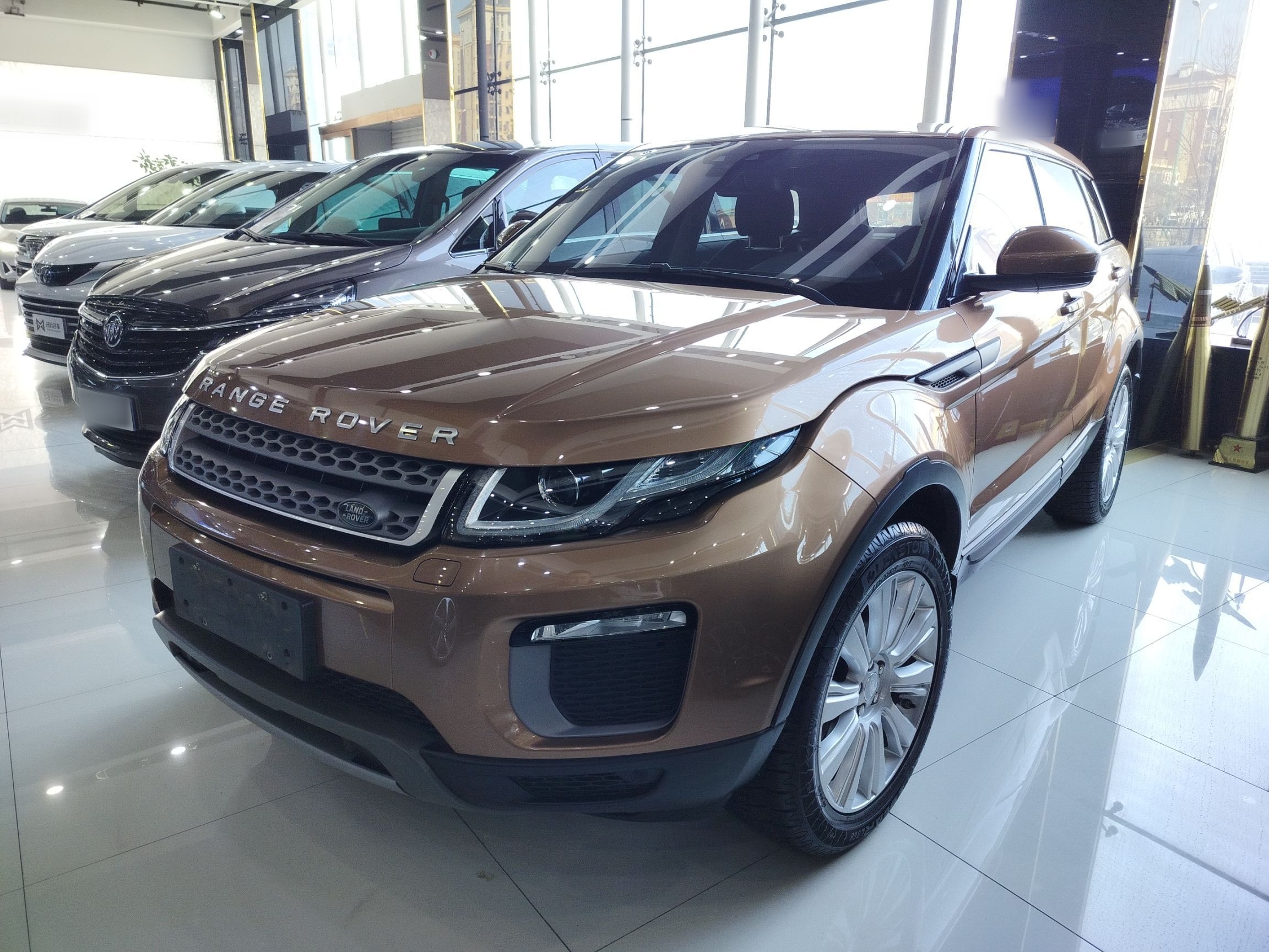 Parte inferior delantera