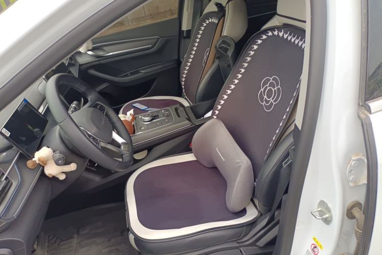Used BYD Destroyer 05 2024 HONOR Edition DM-i 55KM Luxury Model