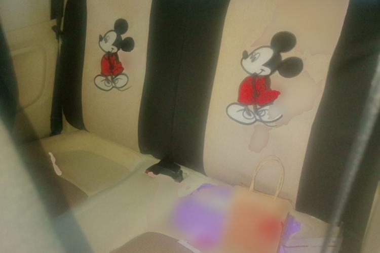 Used Wuling Hongguang MINIEV 2024 3rd Generation 215km Youth Edition Left Rear Seat