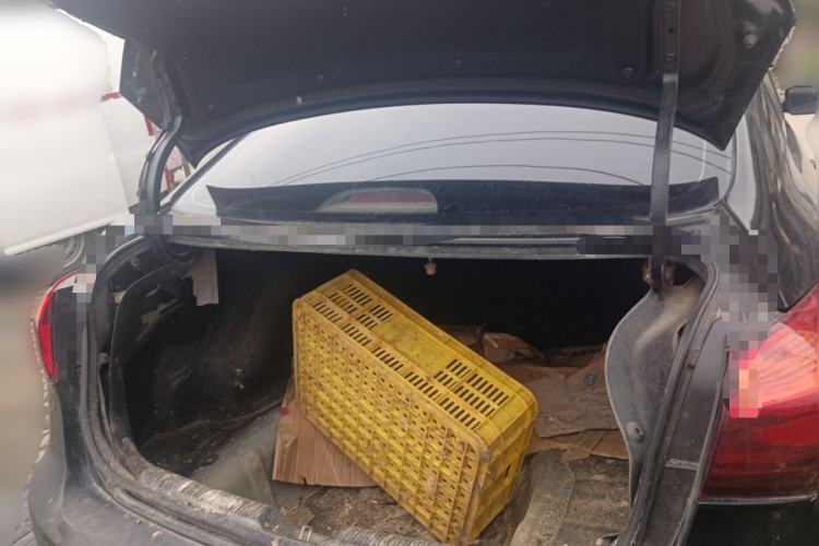 Used Kia K3 2015 1.6L Manual GL Trunk