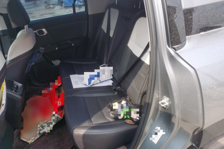 Used BAIC Off-Road BJ30 2024 1.5T Magic Electric Drive Advanced Version Left Rear Seat