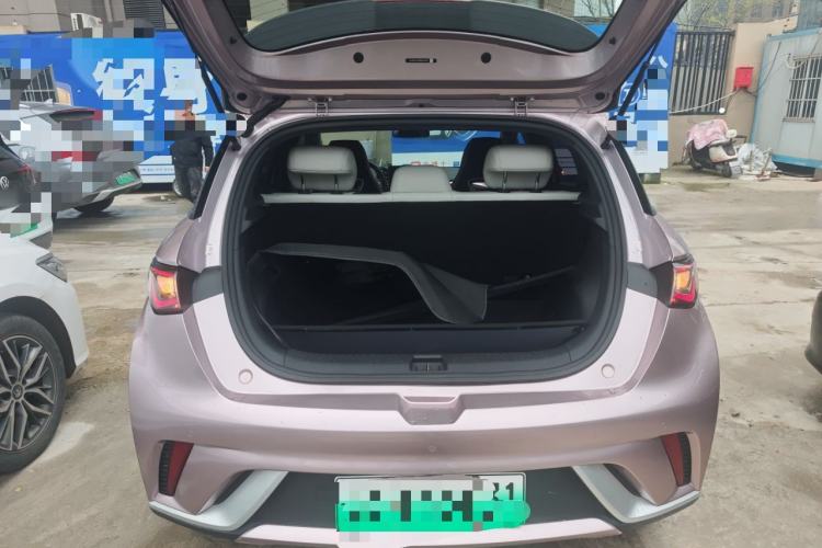 Used BYD Dolphin 2021 405 km Fashion Edition