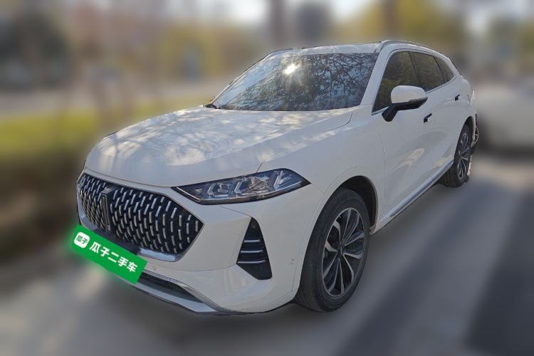 Used Wey Mocha 2021 2.0T Two-Wheel Drive Special Edition