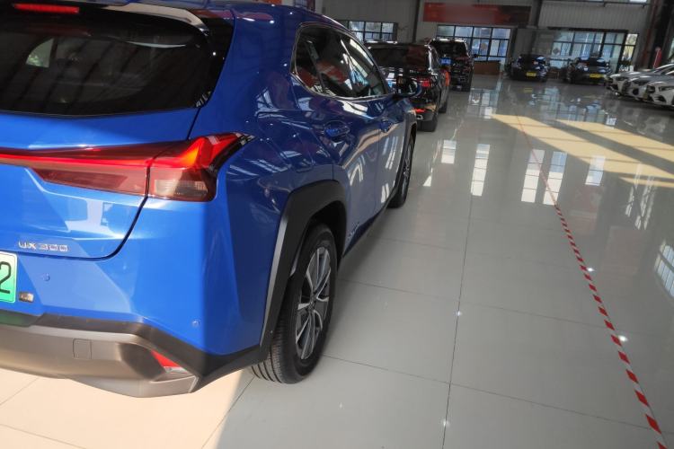 Used Lexus UX New Energy 2020 300e Pure·Joy Edition