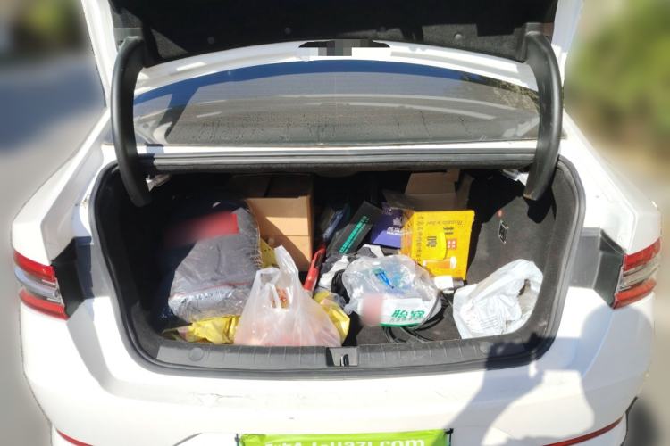 Used BYD Qin Pro New Energy 2018 EV500 Developer Edition Autonomous Driving Model
