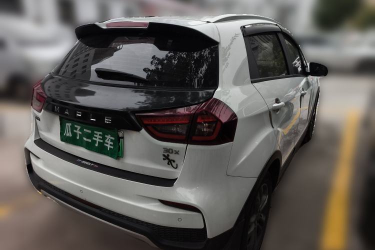 Used Livan Maple 30X 2020 Style Edition
