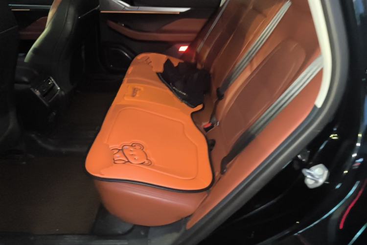 Used Lincoln Z 2022 iXiang Deluxe Edition Left Rear Seat
