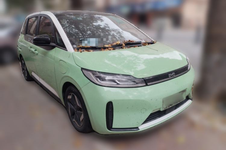 Used BYD D1 2021 Leading Edition
