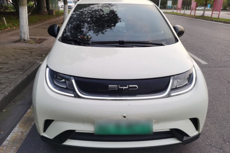 Used BYD Dolphin 2023 420 km Free Version Front