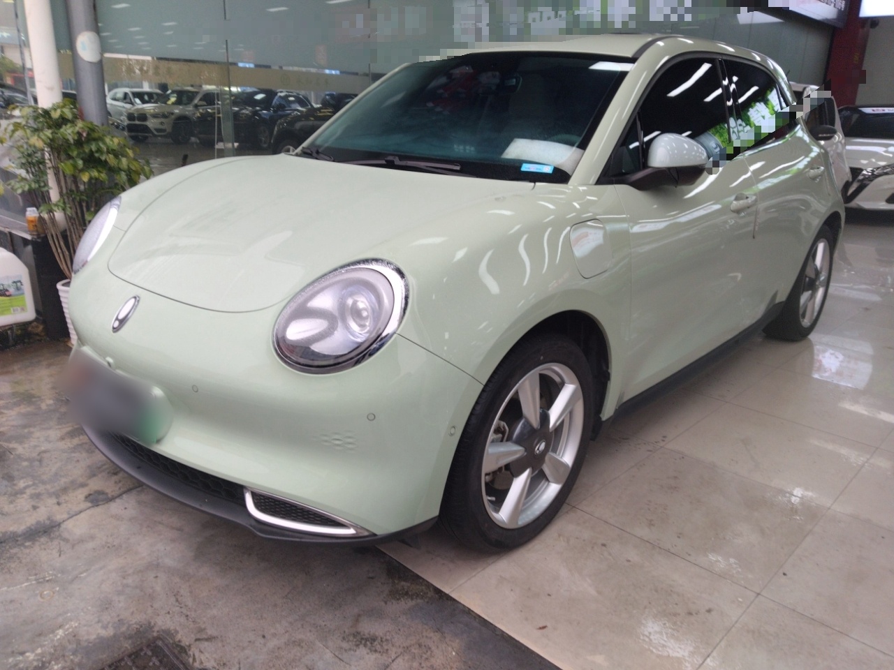 تحت مقدمة السيارة