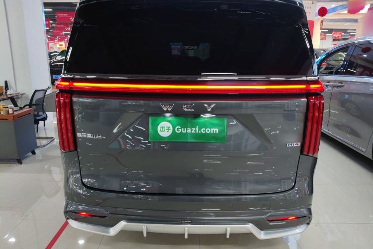 Used Wey Gaoshan 2025 Four-Wheel Drive Alpine 8 Rear