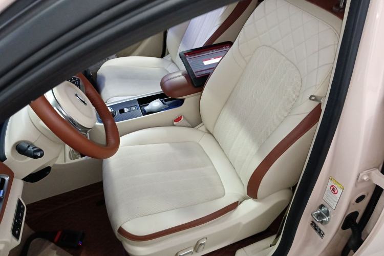 Used ORA Good Cat 2023 401 km Standard Range Comfort Version Lithium Iron Phosphate