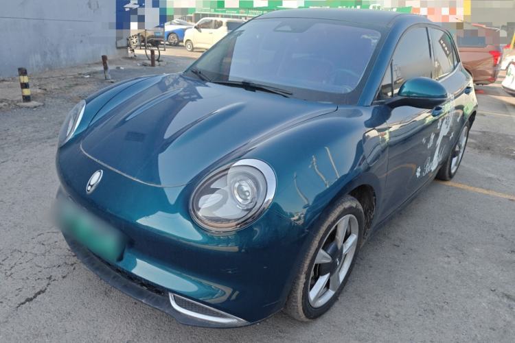 Used ORA Good Cat 2023 401 km Standard Range Luxury Version Ternary Lithium