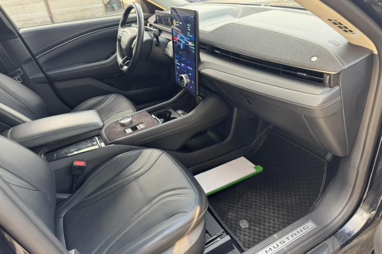 Used Ford Mustang Mach-E 2021 AION Y Plus Rear-Drive Luxury Edition (Long Range)