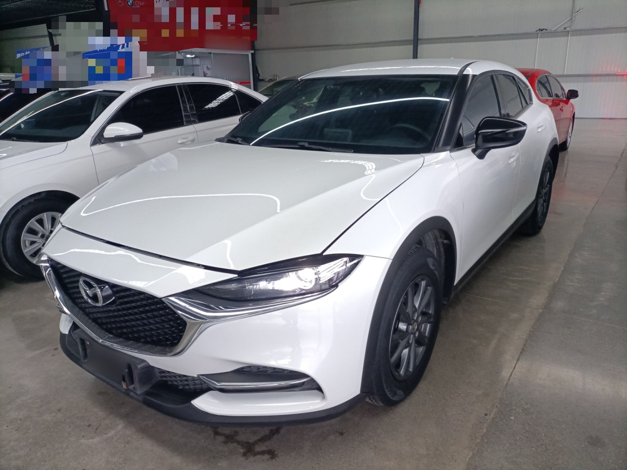 Parte inferior delantera