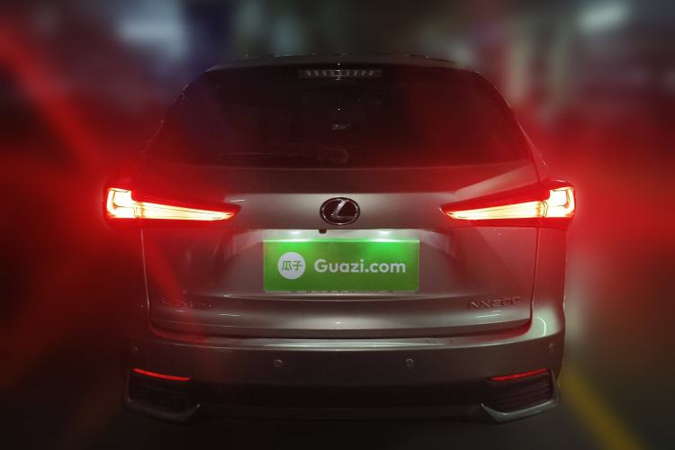 Used Lexus NX 2020 200 All-Wheel Drive Fēngshàng Version China VI Standard