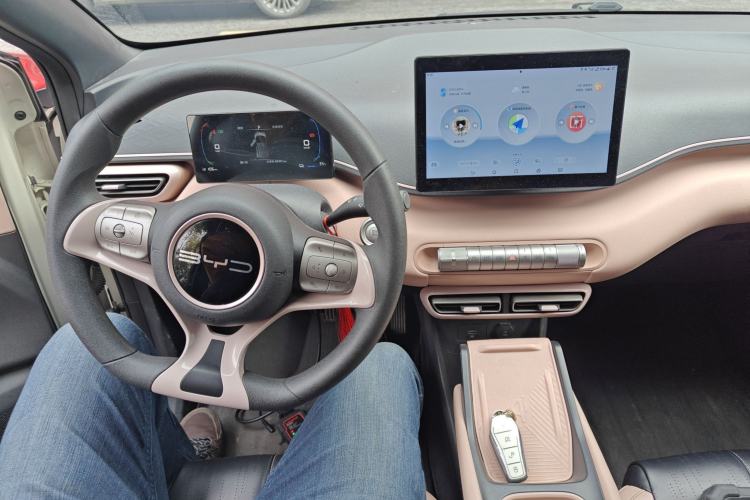 Used BYD Seagull 2023 Active Version
