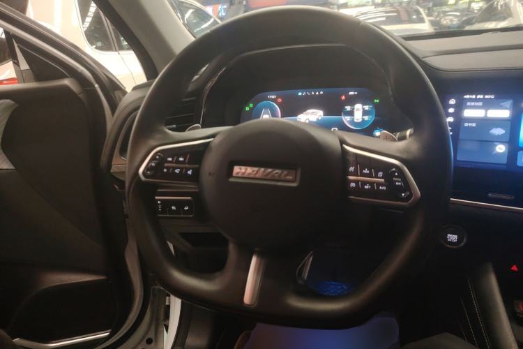 Used Haval F7x 2021 1.5T Two-Wheel Drive Smart Technology Edition Steering Wheel