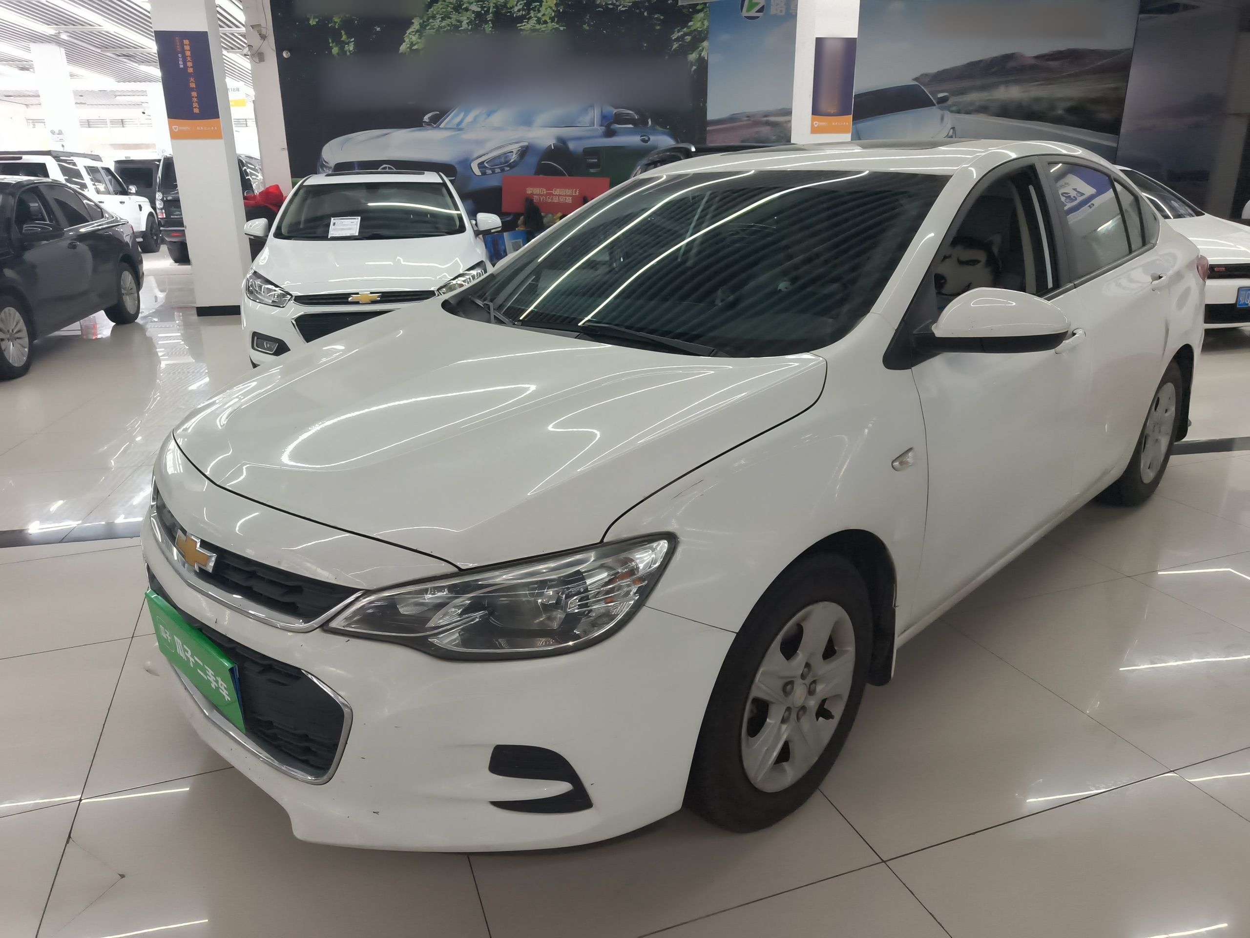 Parte inferior delantera