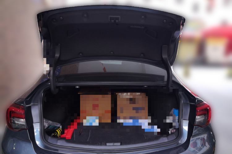 Used Buick Regal 2019 20T Elite Version China VI Standard