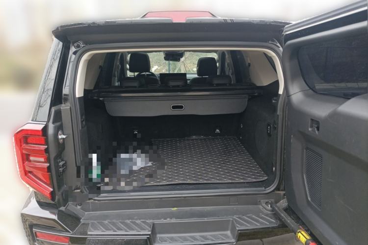 Used Tank 400 2025 2.0T Gasoline Version
