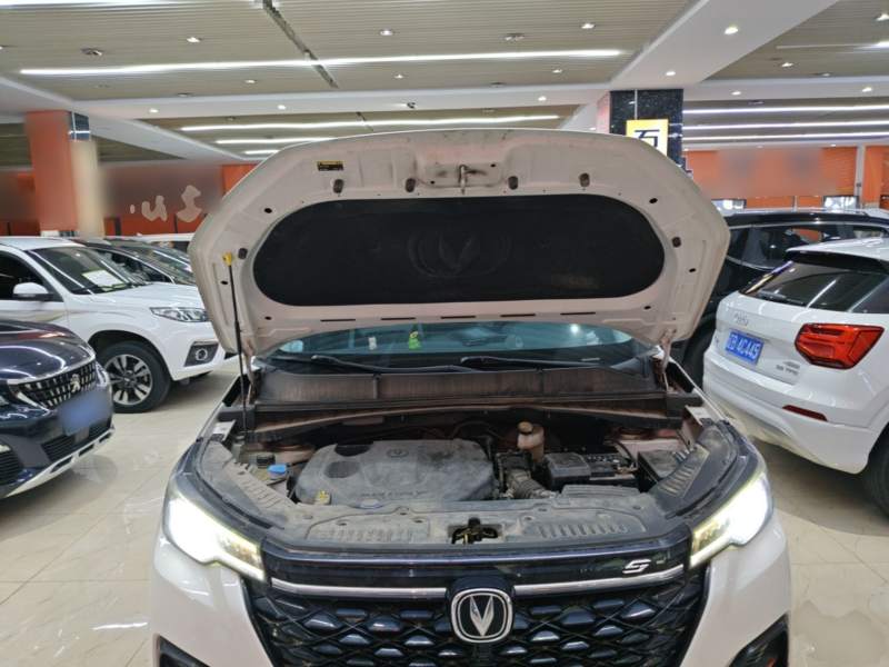 Used CHANGAN CS55PLUS 2021 Blue Whale Edition 1.5T DCT Luxury Model — 19