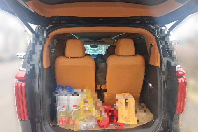 Used Wey Gaoshan 2023 Four-Wheel-Drive Executive Extended Version
