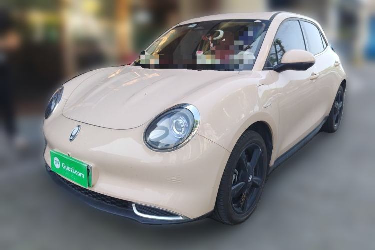 Used ORA Good Cat 2024 401 km Luxury Version