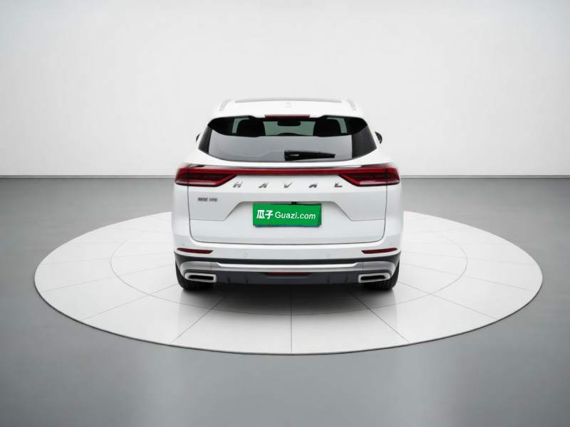 Used Haval H6 2021 National Trend Edition 1.5T Automatic Urban Version — 14