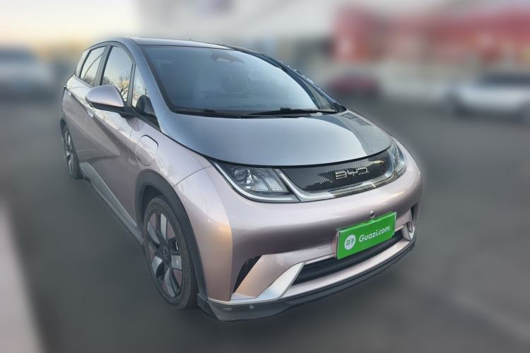 Used BYD Dolphin 2021 401km Knight Edition