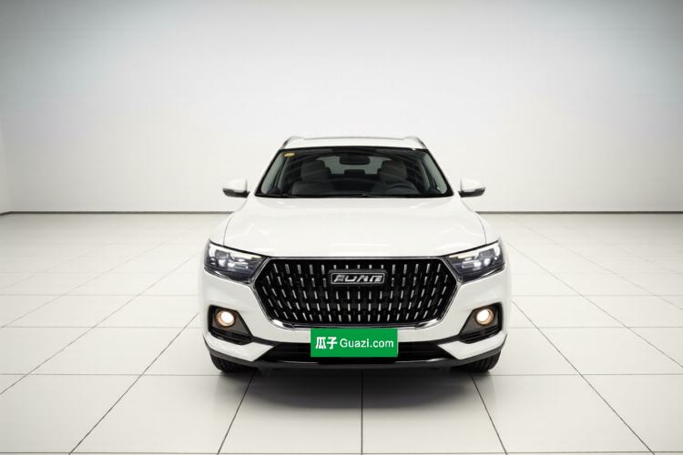 Used Haval H6 2023 National Trend Edition 1.5T Automatic Urban Version
