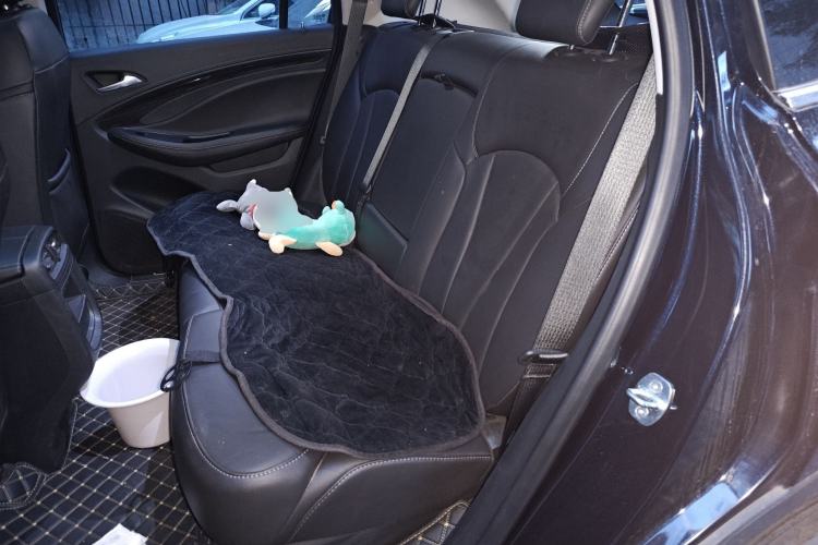 Used Buick Envision 2020 20T Two-Wheel Drive Elite Version
