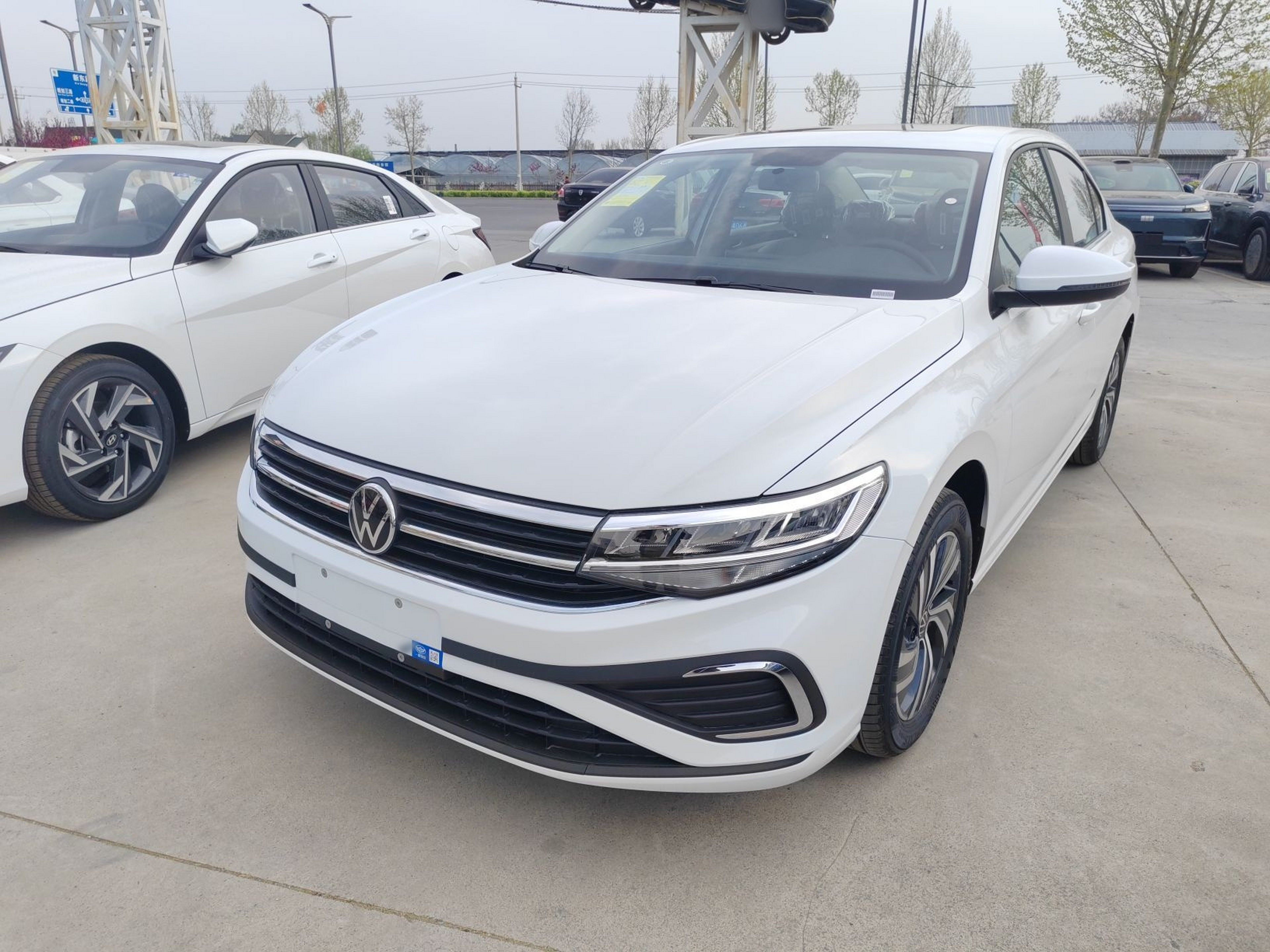 Parte inferior delantera