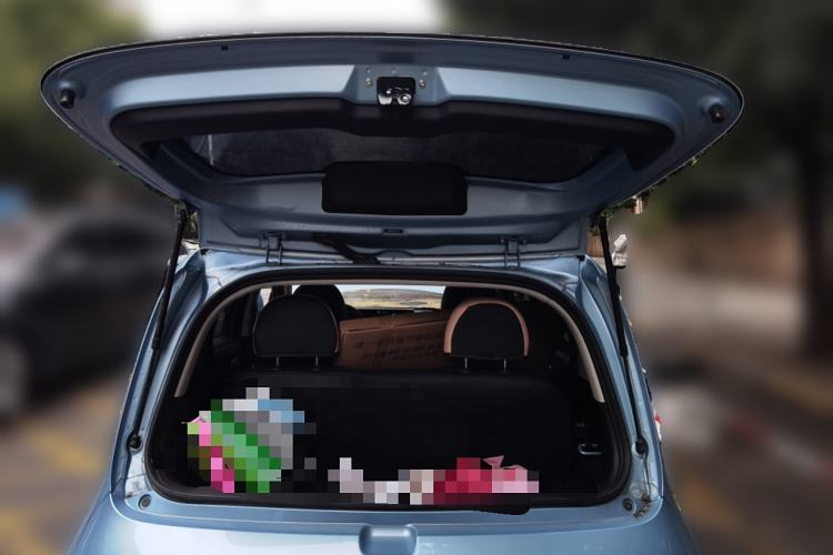 Used ORA White Cat 2020 305 km Luxury Version
