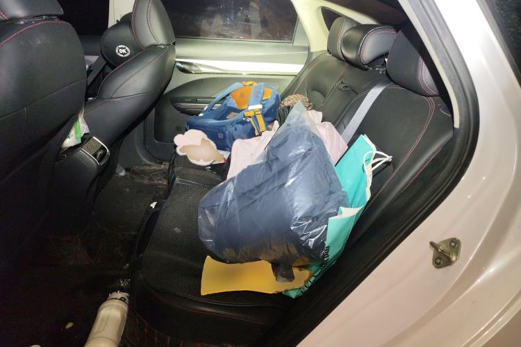 Used Geely Auto Binray 2019 200T DCT Binchi Edition Left Rear Seat