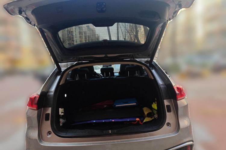 Used Wey VV5 2020 1.5T Two-Wheel Drive Smart Pioneer