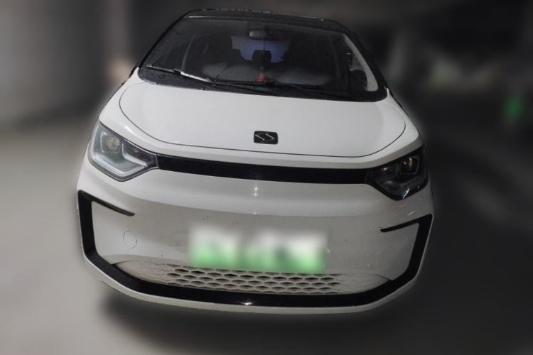 Used SOL E10X 2022 Flower Fairy Design Four-Leaf Clover Front