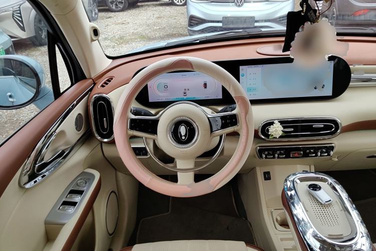 Used ORA Ballet Cat 2023 401 km Luxury Version
