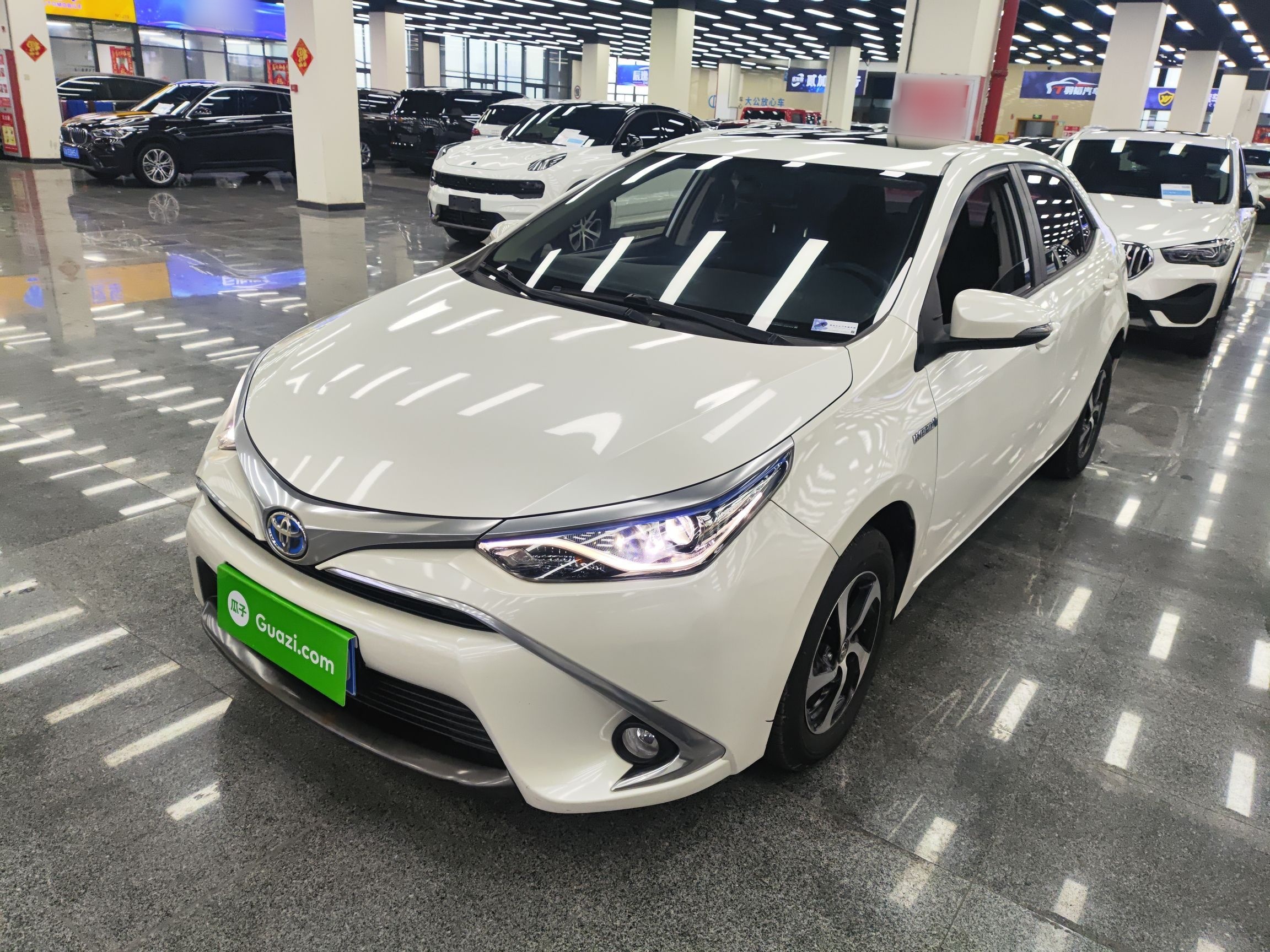 Parte inferior delantera