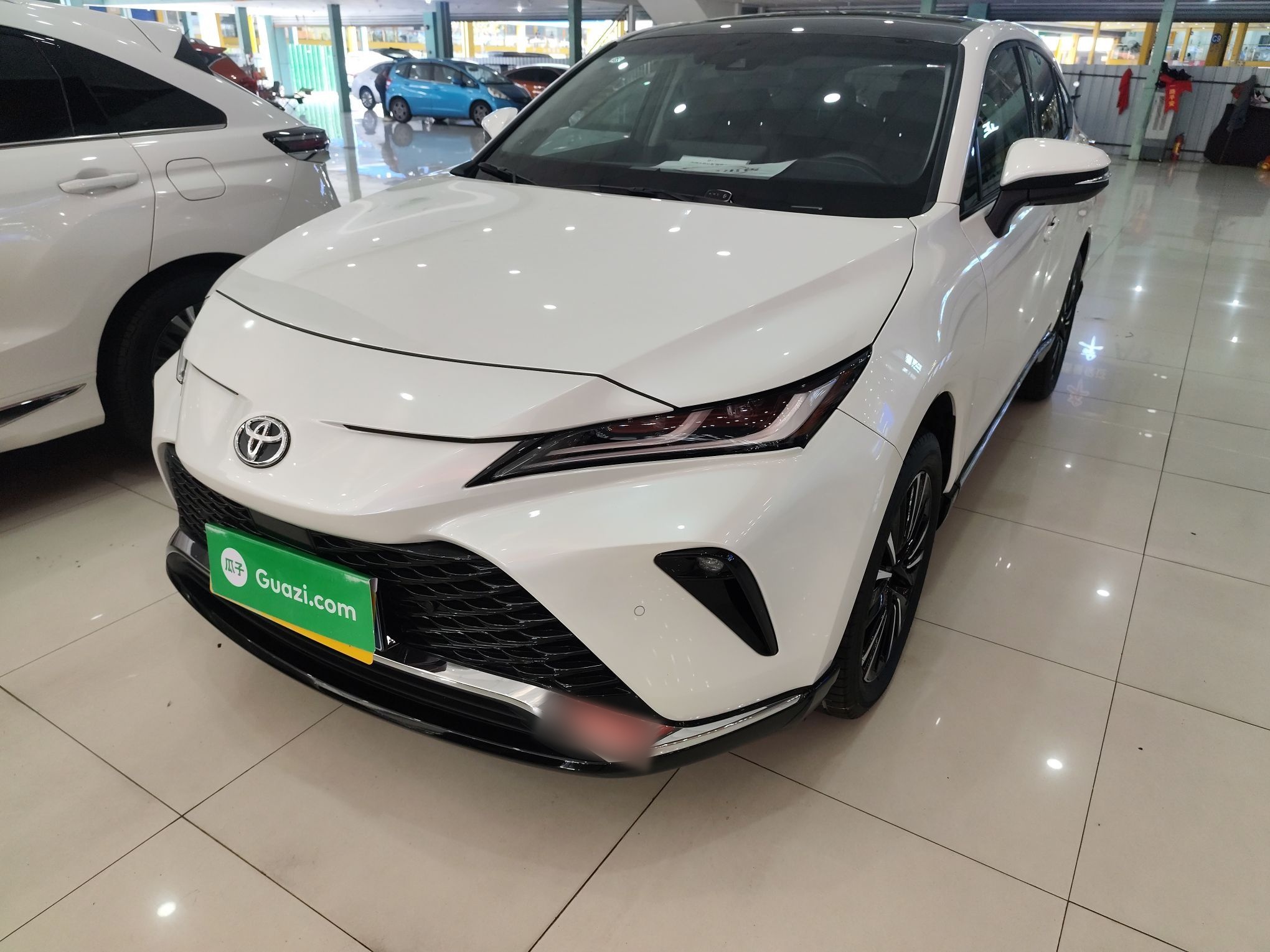 Parte inferior delantera