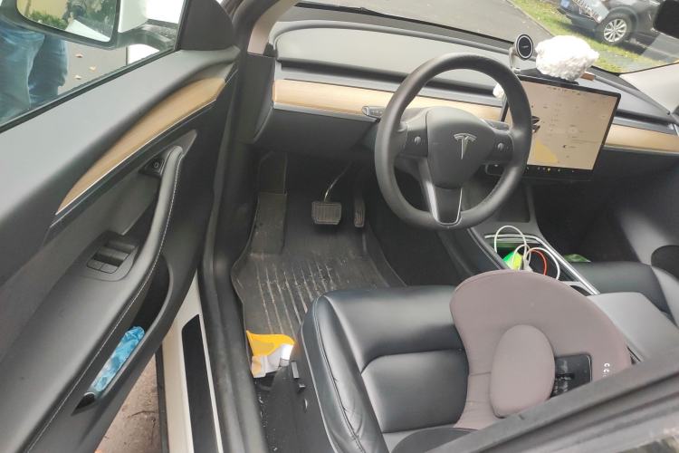 Used Tesla Model Y 2021 Standard Range Rear-Wheel Drive Version
