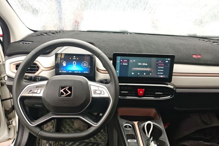 Used SOL E10X 2022 Flower Fairy Design Four-Leaf Clover Interior 2