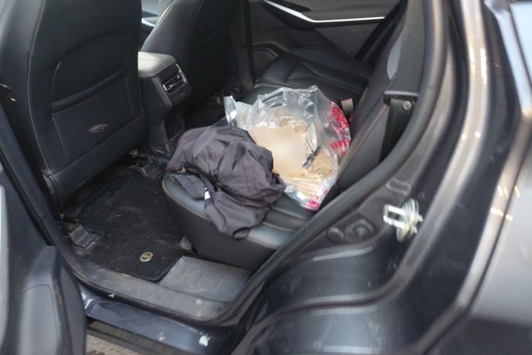 Used CHANGAN CS75 PLUS 2022 2nd Generation 2.0T Automatic Navigation Version Left Rear Seat