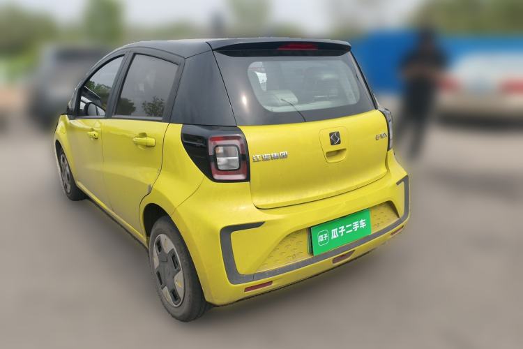 Used SOL E10X 2022 Flower Fairy Design Four-Leaf Clover
