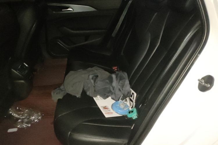 Used Hongqi H5 2020 1.5T DCT Flagship Edition
