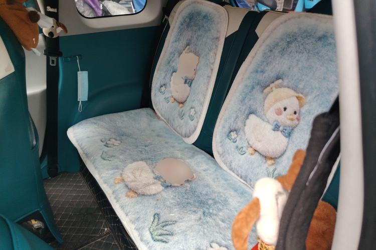 Used CHANGAN NEVO Lumin 2022 210km Sweet Edition Left Rear Seat