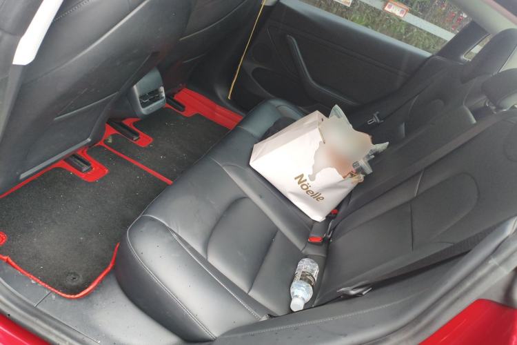 Used Tesla Model 3 2021 Standard Range Rear-Wheel Drive Upgraded Version 3D6 Left Rear Seat