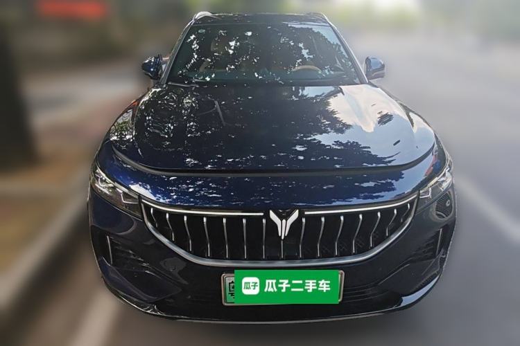 Used VOYAH FREE 2021 Four-Wheel Drive Standard Range-Extended Exclusive Luxury Package
