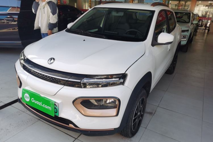 Used Dongfeng NAMMI EX1 2023 PRO Light Wind Edition Lightning Model